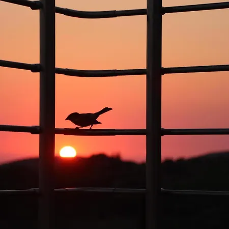 The View Lägenhet Maries (Zakynthos)