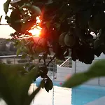 The View *